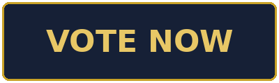 Vote now button navy